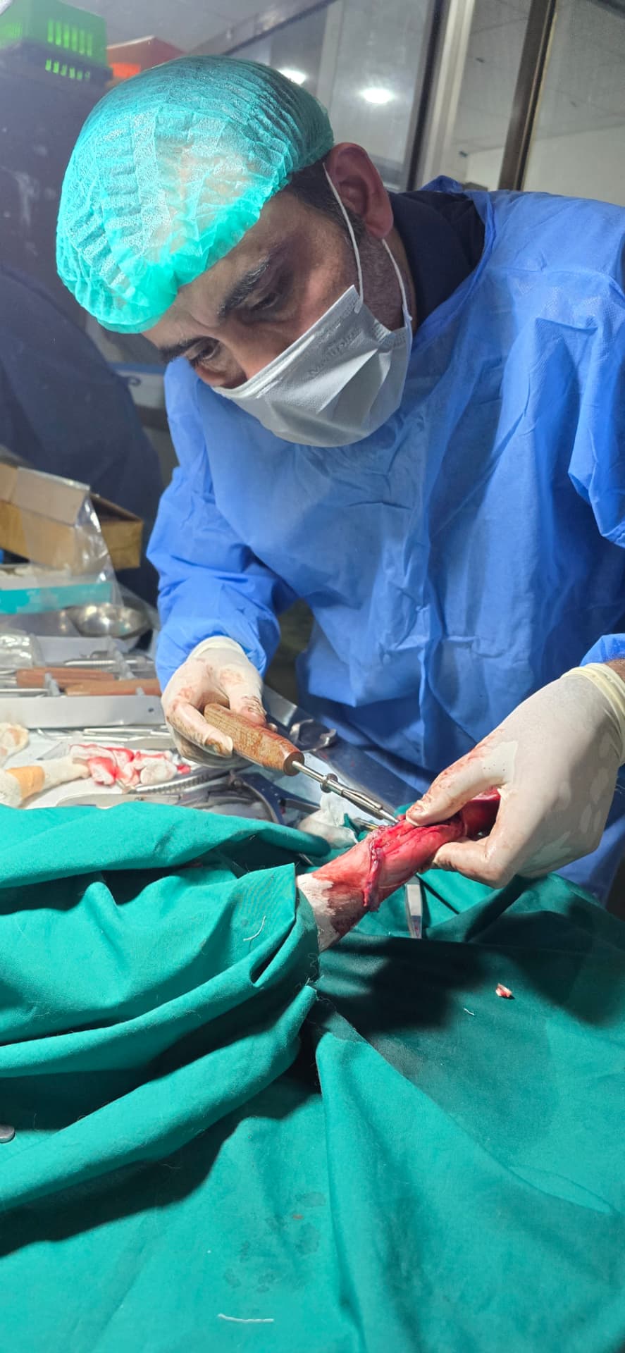 Dr. Sami performing veterinary surgery